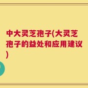 中大灵芝孢子(大灵芝孢子的益处和应用建议)