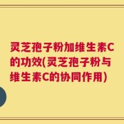灵芝孢子粉加维生素C的功效(灵芝孢子粉与维生素C的协同作用)