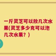 一斤灵芝可以放几次水果(灵芝多少克可以泡几次水果？)