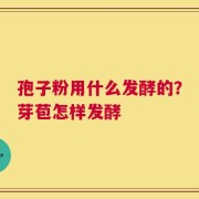 孢子粉用什么发酵的？芽苞怎样发酵