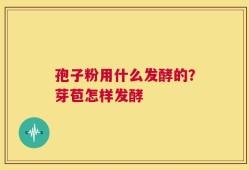 孢子粉用什么发酵的？芽苞怎样发酵
