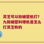 灵芝可以放破壁机打？九阳破壁料理机是怎么打灵芝粉的