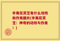 辛夷花灵芝有什么功效和作用图片(辛夷花灵芝：神奇的功效与作用！)