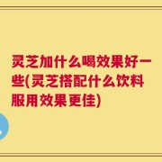灵芝加什么喝效果好一些(灵芝搭配什么饮料服用效果更佳)