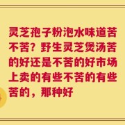 灵芝孢子粉泡水味道苦不苦？野生灵芝煲汤苦的好还是不苦的好市场上卖的有些不苦的有些苦的，那种好