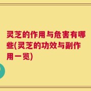 灵芝的作用与危害有哪些(灵芝的功效与副作用一览)