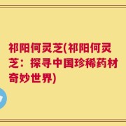 祁阳何灵芝(祁阳何灵芝：探寻中国珍稀药材奇妙世界)