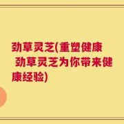 劲草灵芝(重塑健康  劲草灵芝为你带来健康经验)