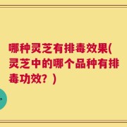 哪种灵芝有排毒效果(灵芝中的哪个品种有排毒功效？)