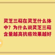 灵芝三萜在灵芝什么体中？为什么说灵芝三萜含量越高抗癌效果越好