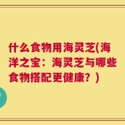 什么食物用海灵芝(海洋之宝：海灵芝与哪些食物搭配更健康？)