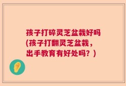 孩子打碎灵芝盆栽好吗(孩子打翻灵芝盆栽，出手教育有好处吗？)