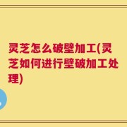 灵芝怎么破壁加工(灵芝如何进行壁破加工处理)