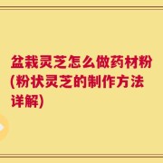 盆栽灵芝怎么做药材粉(粉状灵芝的制作方法详解)