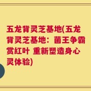 五龙背灵芝基地(五龙背灵芝基地：菌王争霸赏红叶 重新塑造身心灵体验)