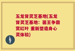五龙背灵芝基地(五龙背灵芝基地：菌王争霸赏红叶 重新塑造身心灵体验)