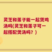 灵芝和莲子能一起煲鸡汤吗(灵芝和莲子可一起搭配煲汤吗？)