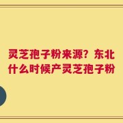 灵芝孢子粉来源？东北什么时候产灵芝孢子粉
