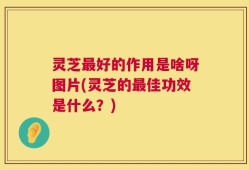 灵芝最好的作用是啥呀图片(灵芝的最佳功效是什么？)
