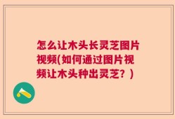 怎么让木头长灵芝图片视频(如何通过图片视频让木头种出灵芝？)