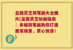 盆栽灵芝简笔画大全图片(盆栽灵芝绘画指南：多幅简笔画助你打造居家绿意，赏心悦目！)