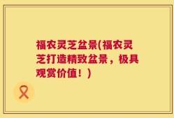 福农灵芝盆景(福农灵芝打造精致盆景，极具观赏价值！)