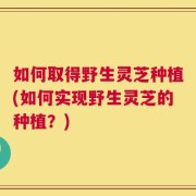 如何取得野生灵芝种植(如何实现野生灵芝的种植？)