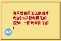 肉苁蓉和灵芝区别图片大全(肉苁蓉和灵芝的区别：一图片带你了解)