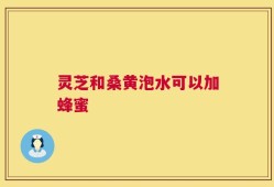 灵芝和桑黄泡水可以加蜂蜜