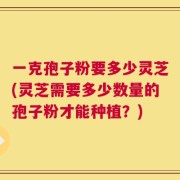 一克孢子粉要多少灵芝(灵芝需要多少数量的孢子粉才能种植？)