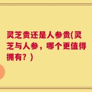 灵芝贵还是人参贵(灵芝与人参，哪个更值得拥有？)