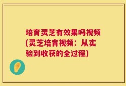 培育灵芝有效果吗视频(灵芝培育视频：从实验到收获的全过程)