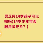 灵芝片14岁孩子可以喝吗(14岁少年可否服用灵芝片？)