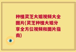 种植灵芝大姐视频大全图片(灵芝种植大姐分享全方位视频和图片指南)