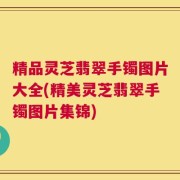 精品灵芝翡翠手镯图片大全(精美灵芝翡翠手镯图片集锦)