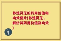 养殖灵芝的药用价值和功效图片(养殖灵芝，解析其药用价值及功效)