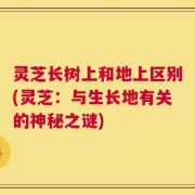 灵芝长树上和地上区别(灵芝：与生长地有关的神秘之谜)