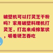破壁机可以打灵芝干粉吗？家用破壁料理机打灵芝，打出来成棉絮状，嚼着硬怎吞吃
