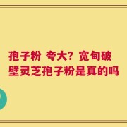 孢子粉 夸大？宽甸破壁灵芝孢子粉是真的吗