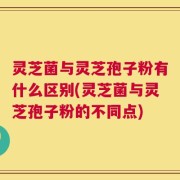 灵芝菌与灵芝孢子粉有什么区别(灵芝菌与灵芝孢子粉的不同点)