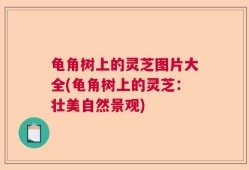 龟角树上的灵芝图片大全(龟角树上的灵芝：壮美自然景观)