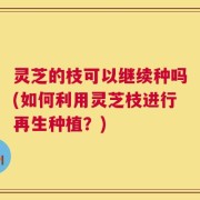 灵芝的枝可以继续种吗(如何利用灵芝枝进行再生种植？)