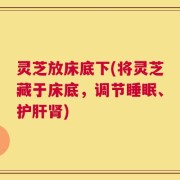灵芝放床底下(将灵芝藏于床底，调节睡眠、护肝肾)