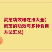 灵芝功效和吃法大全(灵芝的功效与多种食用方法汇总)