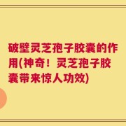 破壁灵芝孢子胶囊的作用(神奇！灵芝孢子胶囊带来惊人功效)
