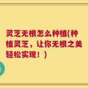 灵芝无根怎么种植(种植灵芝，让你无根之美轻松实现！)