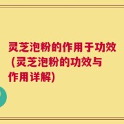 灵芝泡粉的作用于功效 (灵芝泡粉的功效与作用详解)