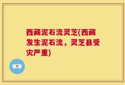 西藏泥石流灵芝(西藏发生泥石流，灵芝县受灾严重)