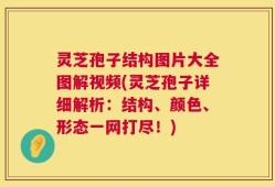 灵芝孢子结构图片大全图解视频(灵芝孢子详细解析：结构、颜色、形态一网打尽！)