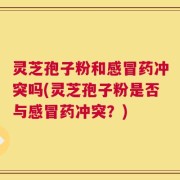 灵芝孢子粉和感冒药冲突吗(灵芝孢子粉是否与感冒药冲突？)